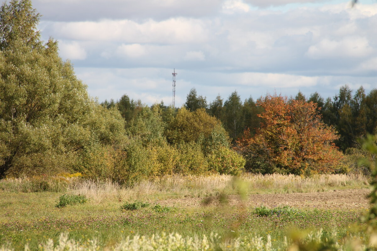 ЗА ОКОЛИЦЕЙ БРОДИТ ОСЕНЬ... - Валентина ЗА ОКОЛИЦЕЙ БРОДИТ ОСЕНЬ... - Валентина
