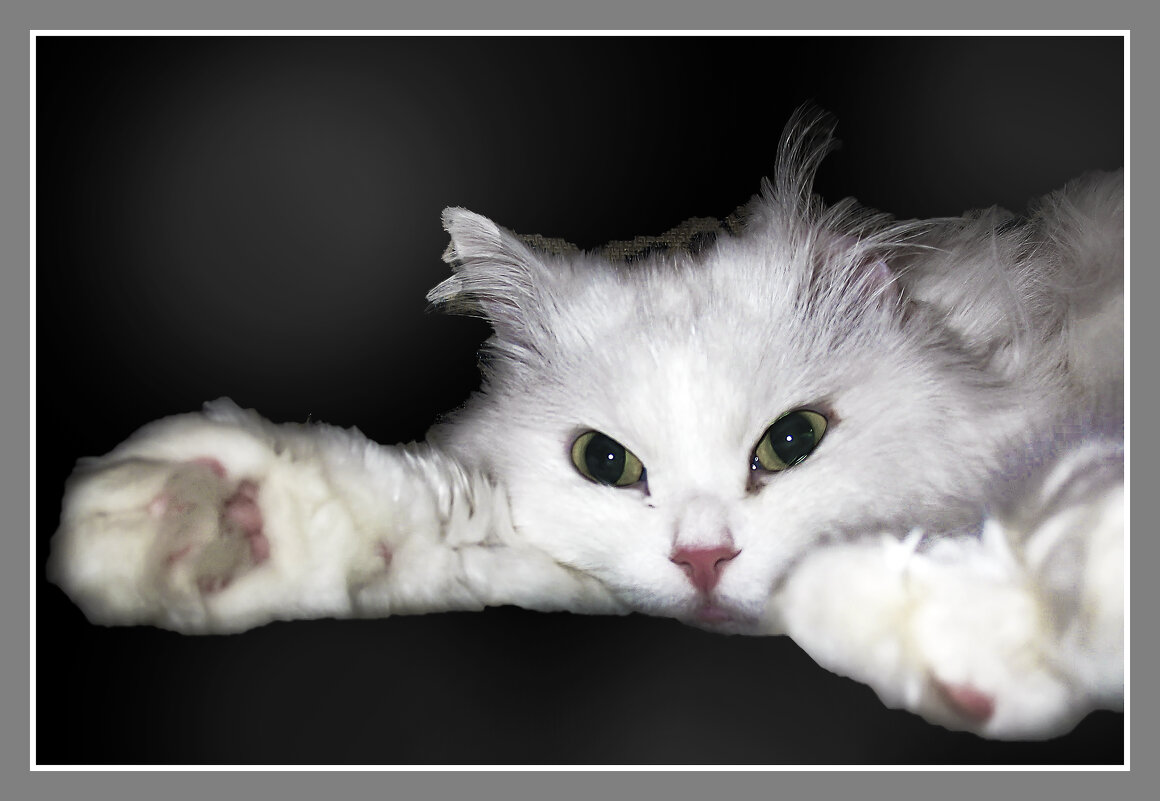 Блондиночка - Владимир Кроливец