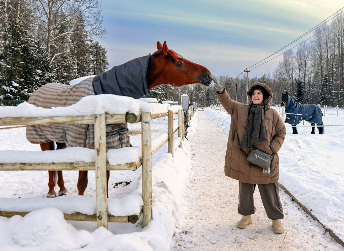 Человек и лошадь - skijumper Иванов
