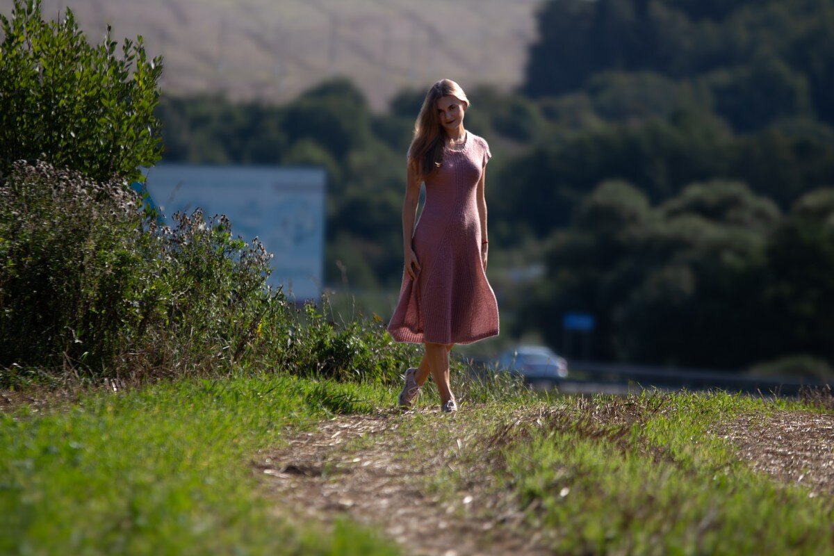 * - Евгений Ваулин