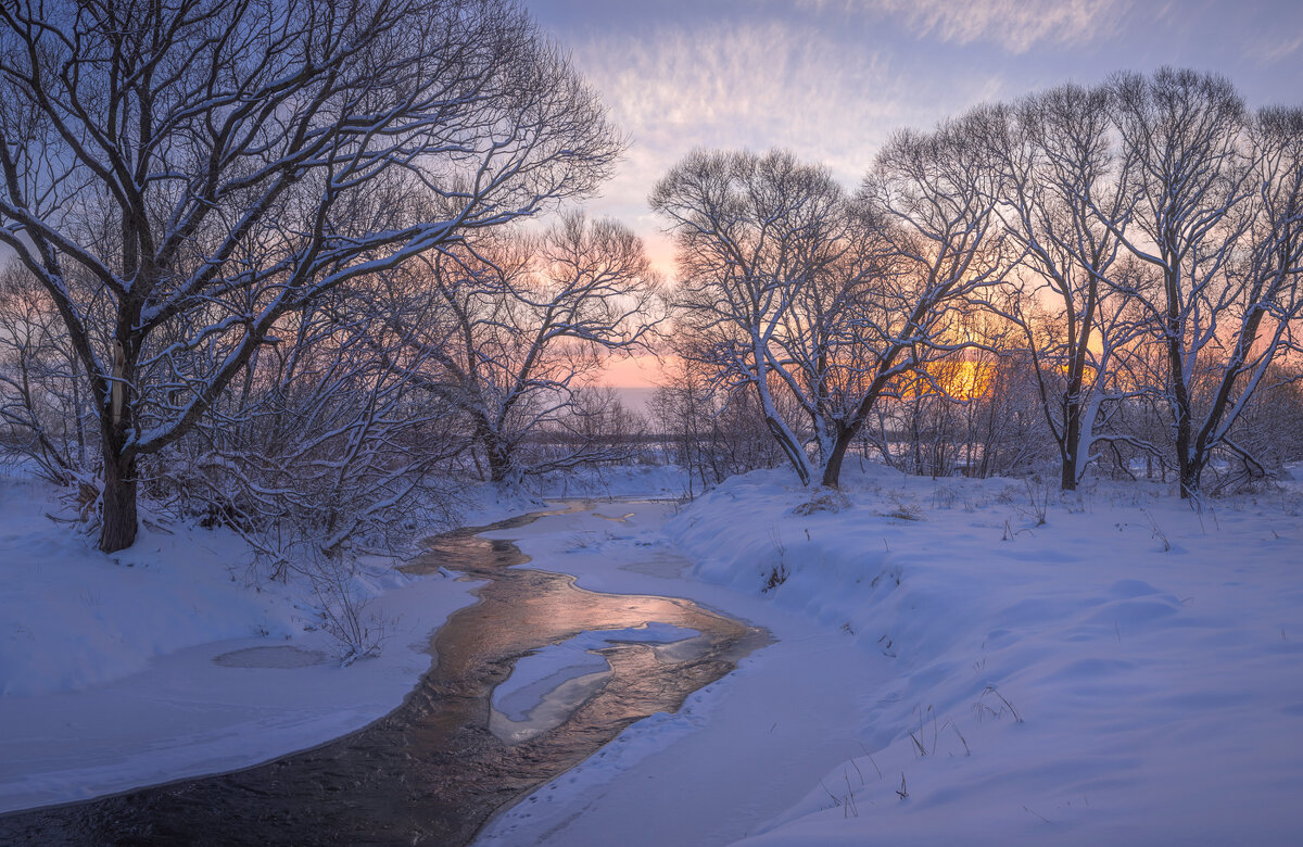 **** - Елизавета .
