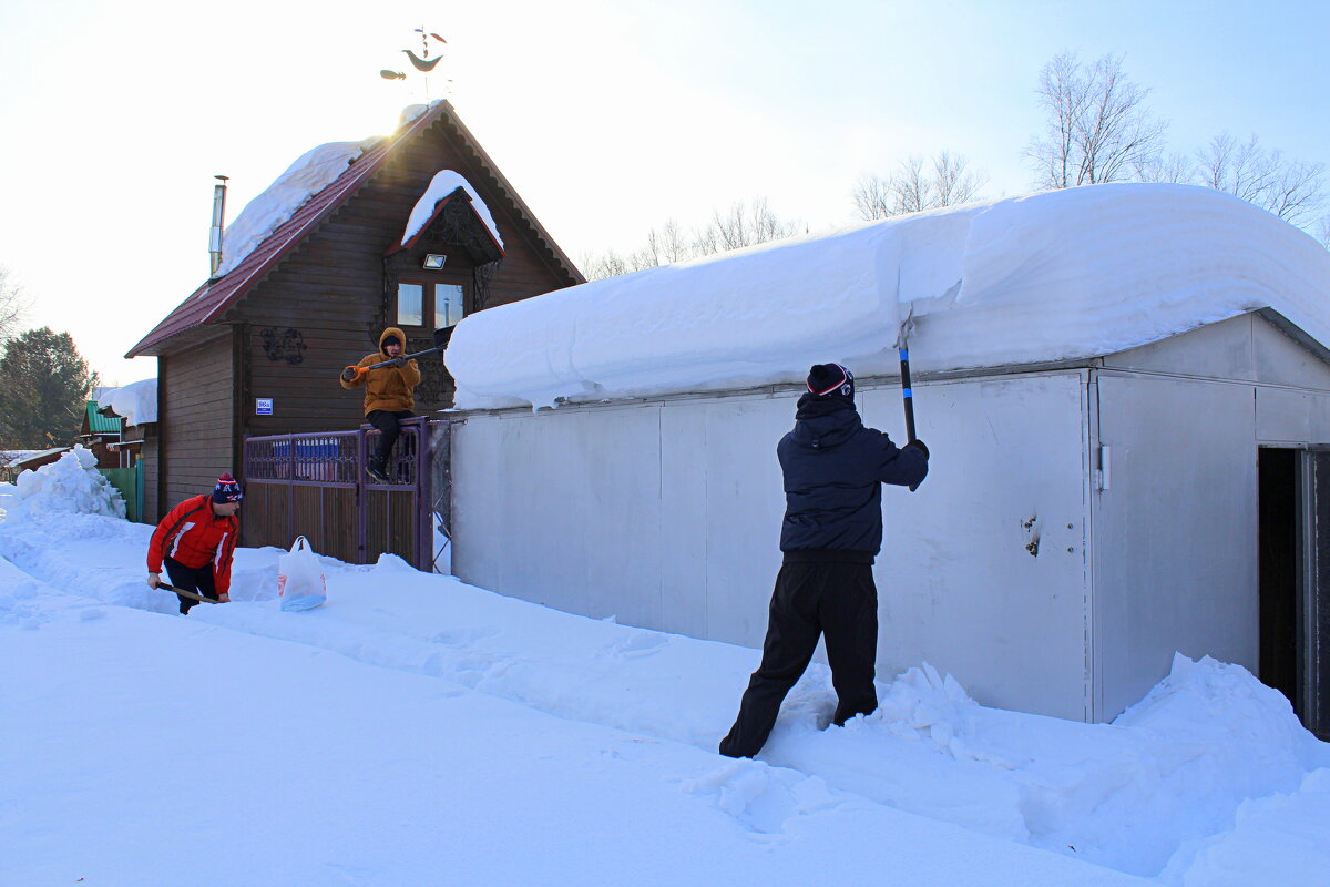 Откапываем дачу - Татьяна Лютаева