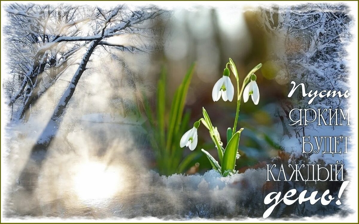 Пусть ярким будет каждый  день ... - Валентина Надсон