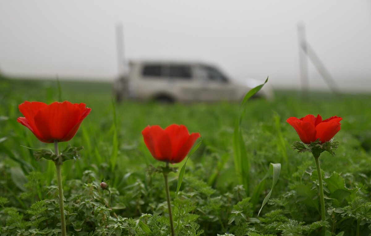 по дороге домой - Осень 
