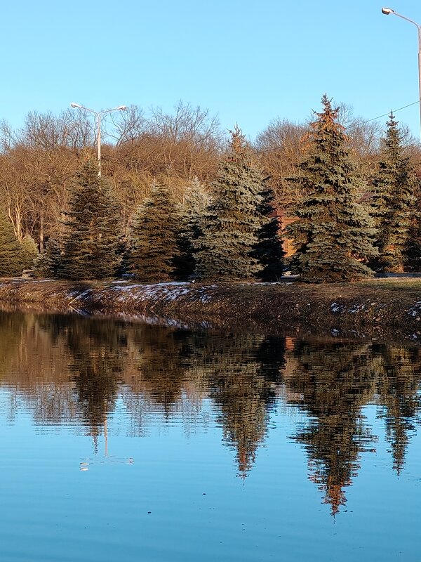 Природа ждёт весну... - tatyana 