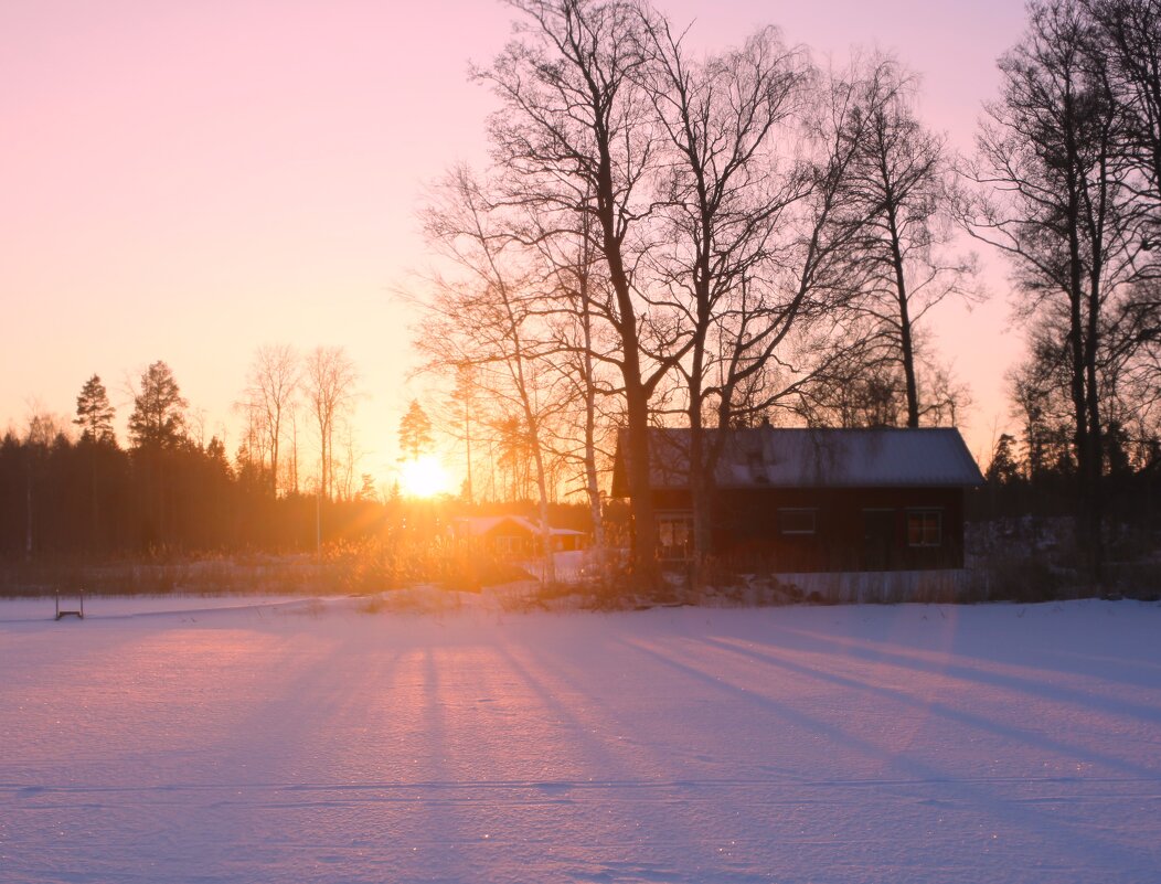 А ведь скоро Весна! - liudmila drake