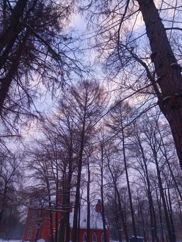 Рассвет - Сапсан 