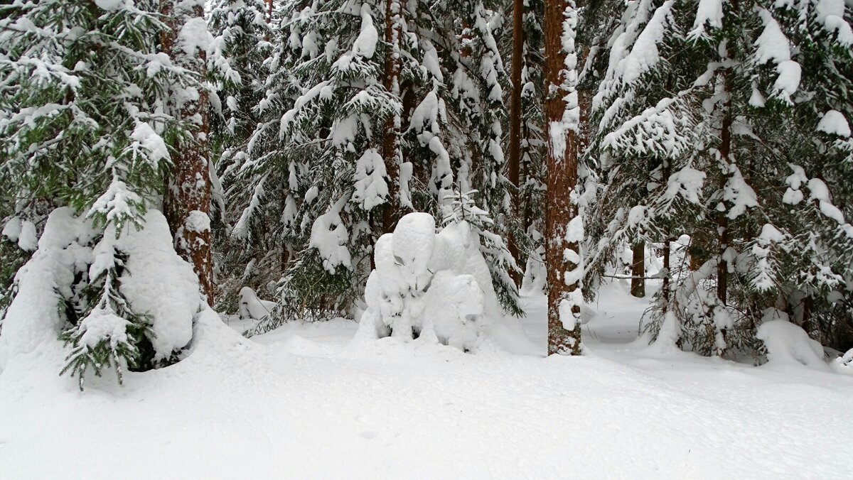 Зимний лес. - Милешкин Владимир Алексеевич 