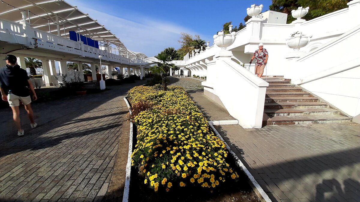 Ривьера - Tata Wolf