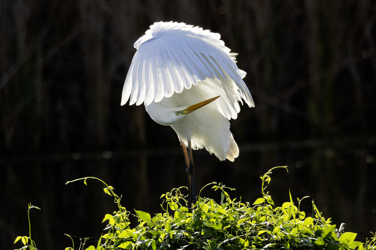 Торшер. - Alexander Amromin