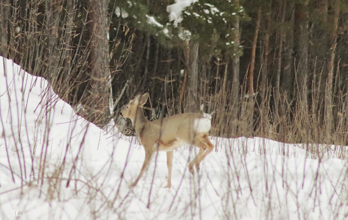 Неожиданная встреча - Любовь Сахарова