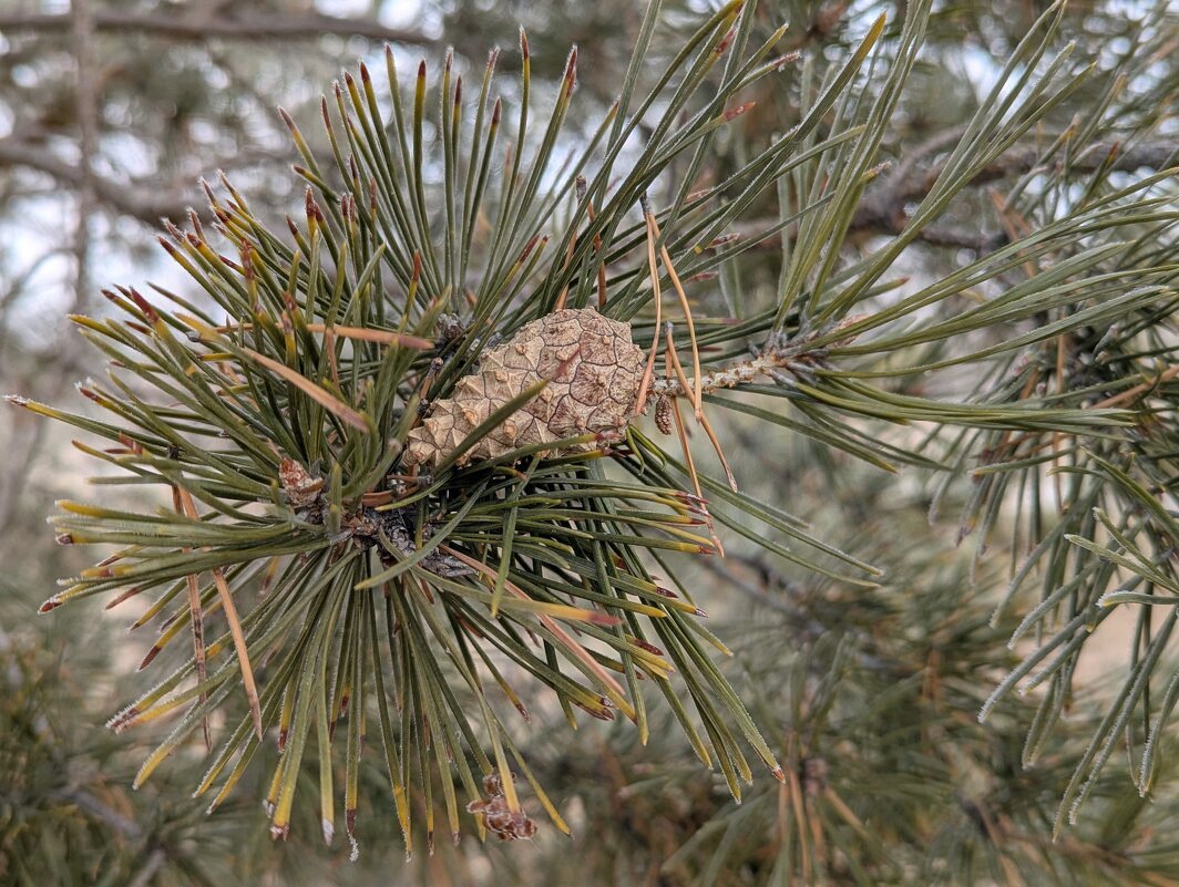 Фото этюд - Андрей Хлопонин Фото этюд - Андрей Хлопонин
