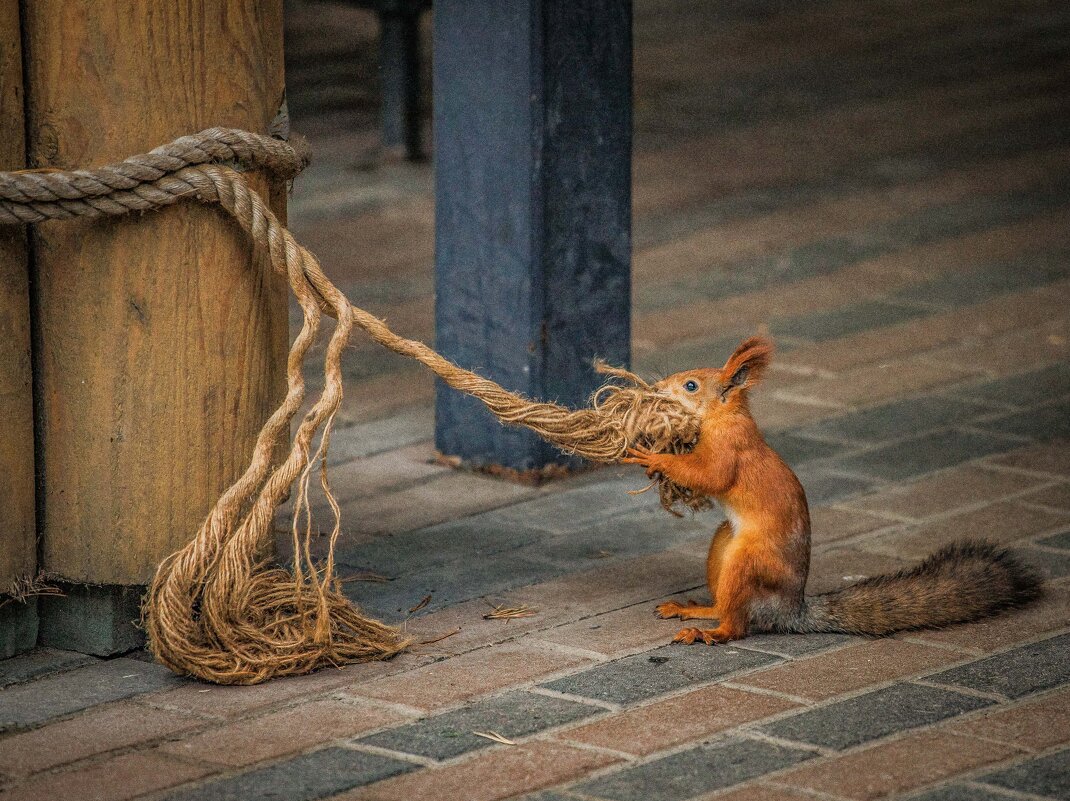 трудяга - Аркадий Лаптенко