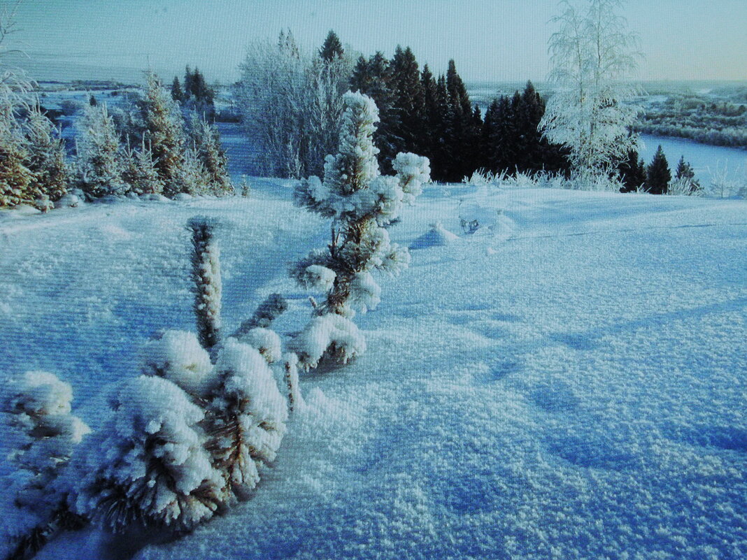 Всё засыпало снегом - Людмила Смородинская