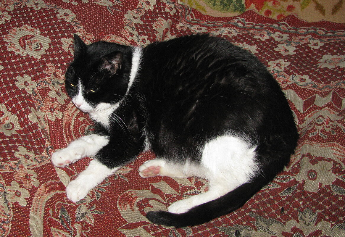 Так хочется спать - Людмила Смородинская