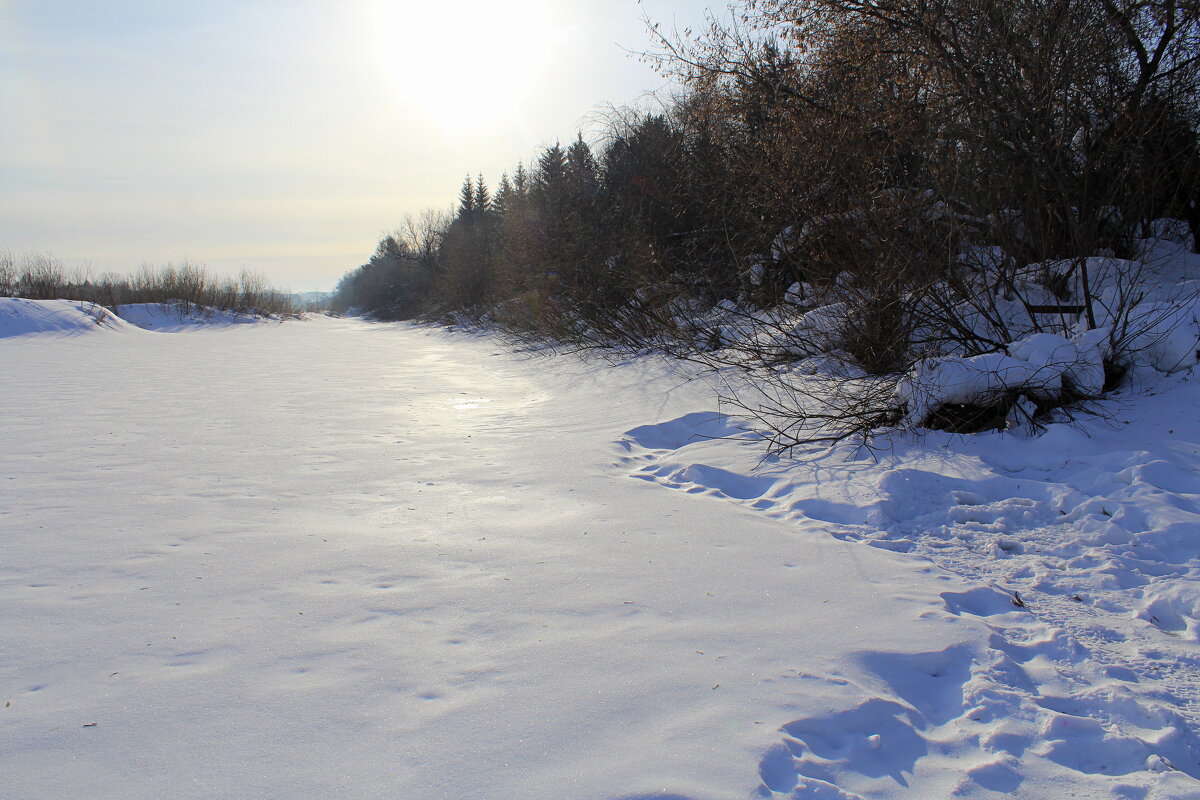Протока зимняя - Татьяна Лютаева