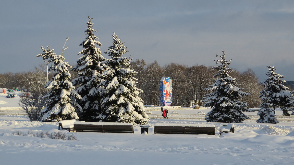 Городские ёлочки - Ирина Олехнович