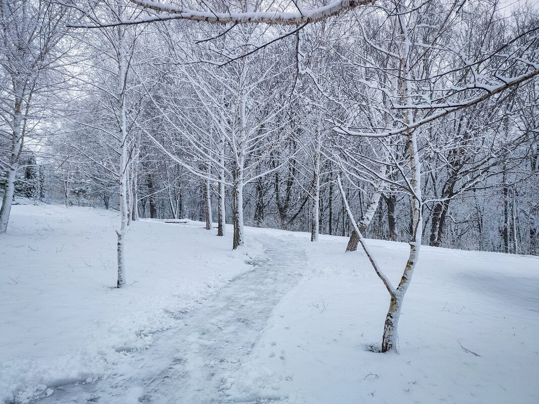 Зимнее творение природы ... - Ravile 