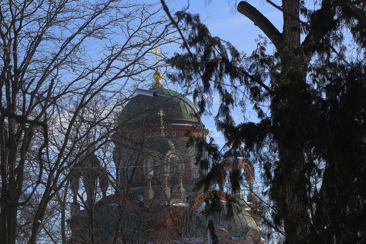 Церковь в ветвях - Юрий Гайворонскiий Церковь в ветвях - Юрий Гайворонскiий