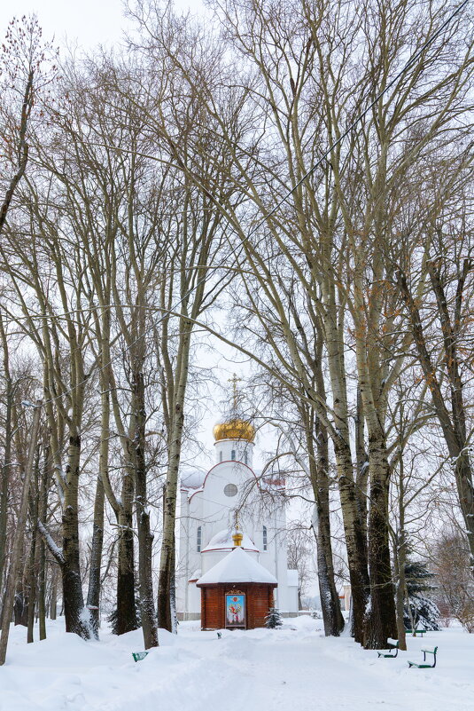 Храм Святых Царственных Мучеников и всех Новомучеников и Исповедников ХХ века в Могилёве - Вадим *