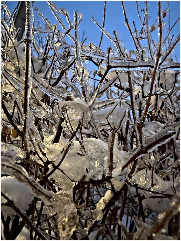 ******** - Валерия Комова ******** - Валерия Комова