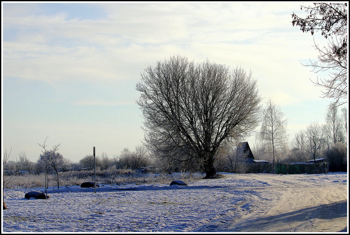 *** - Aleksandr Gal *** - Aleksandr Gal