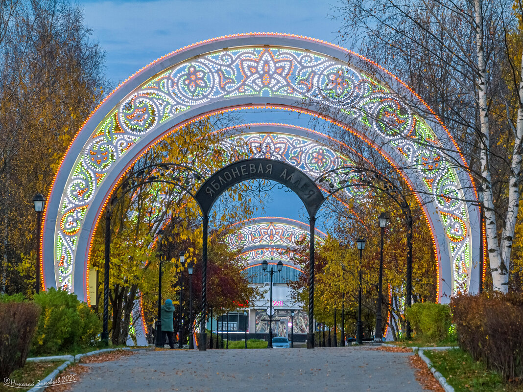 Ухта. Аллея с самыми северными мелкоплодными яблочками и новые световые арки - Николай Зиновьев Ухта. Аллея с самыми северными мелкоплодными яблочками и новые световые арки - Николай Зиновьев