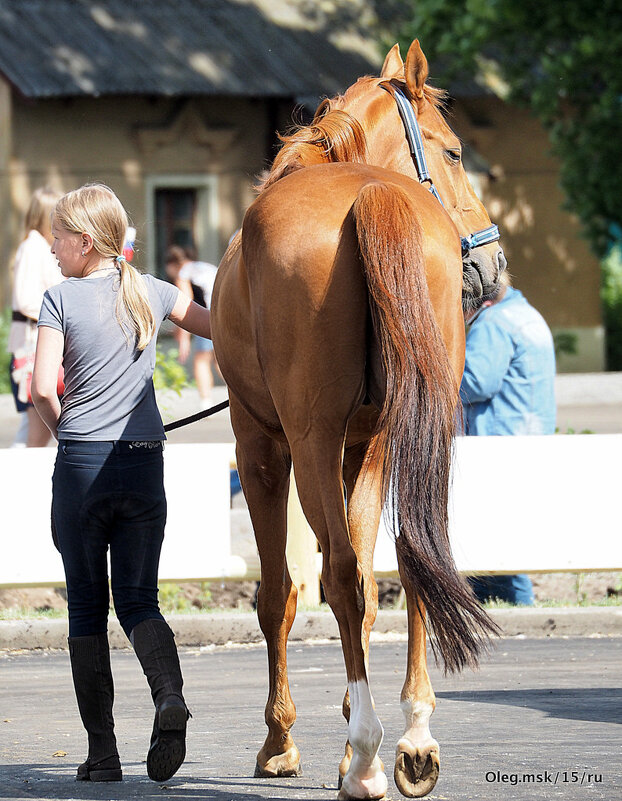 синхронисты - Олег Лукьянов синхронисты - Олег Лукьянов