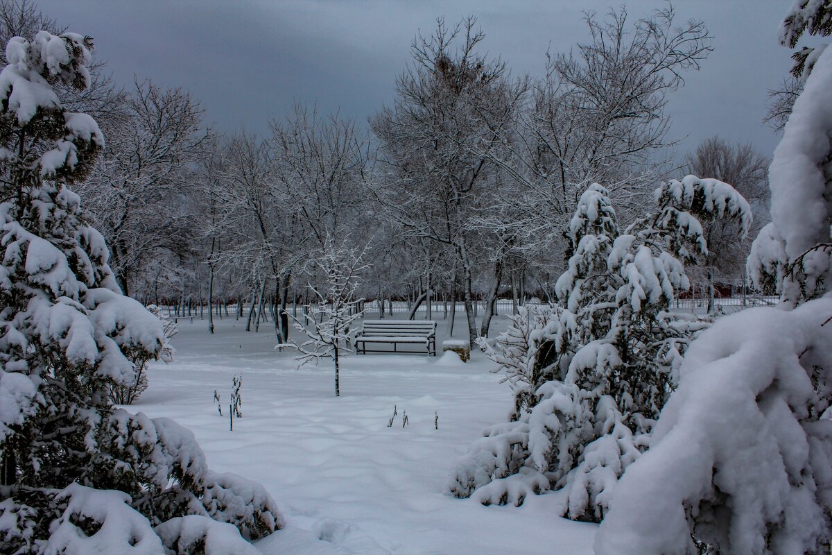 Зимний вечер - Оксана Новик 