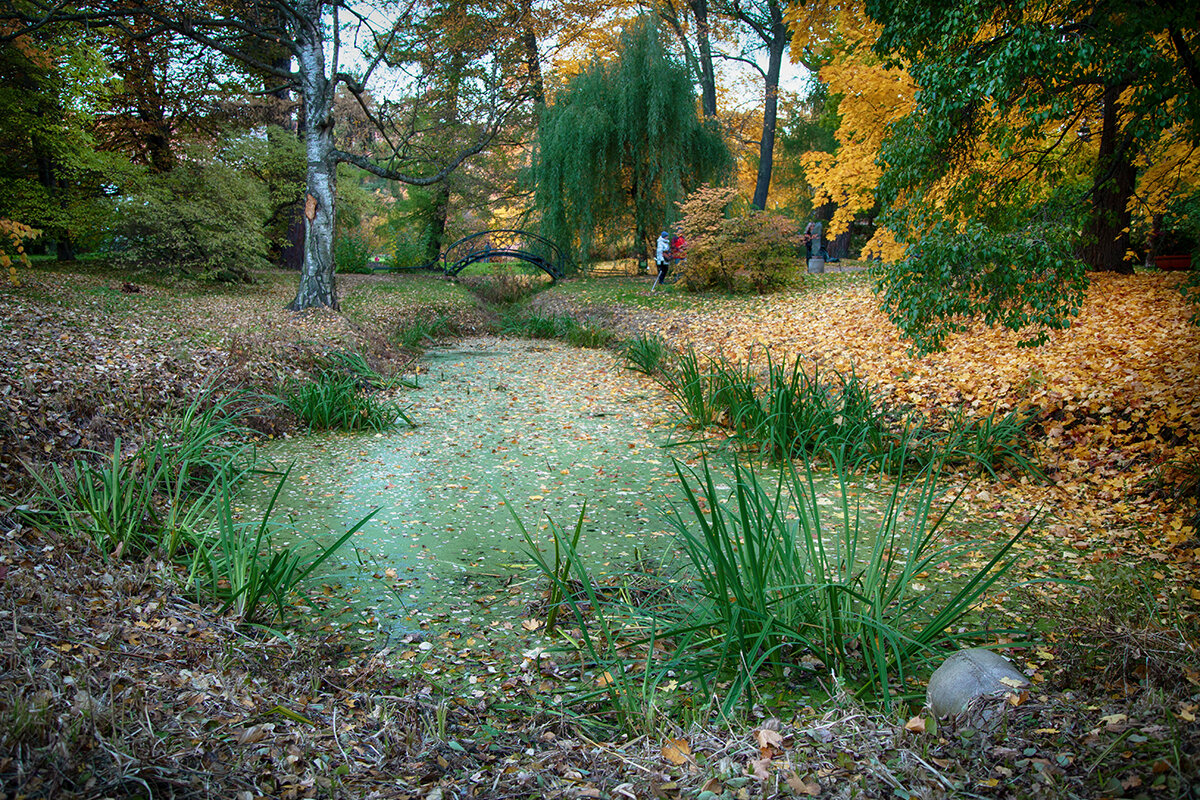 Осенний пейзаж. - Лилия * Осенний пейзаж. - Лилия *