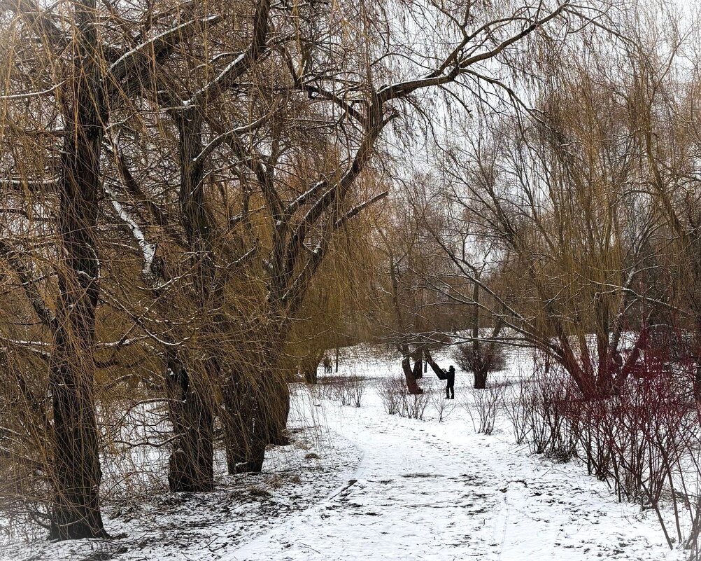 А между тем весна все ближе - Мария - Maria
