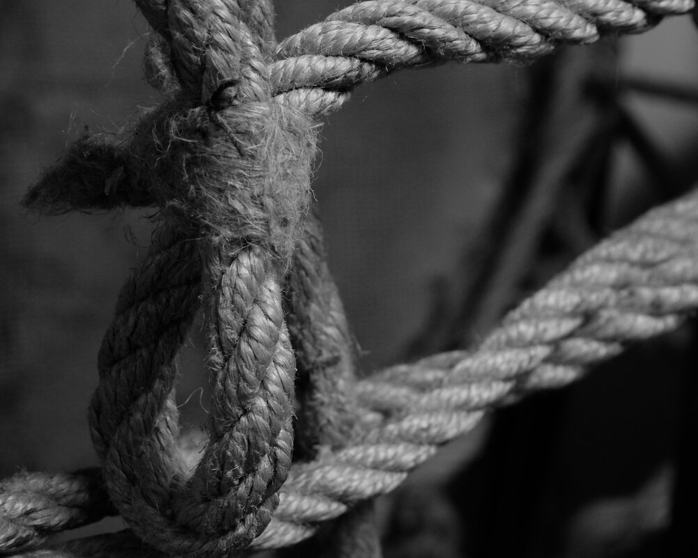 Верёвка - Сергей Матвеенко