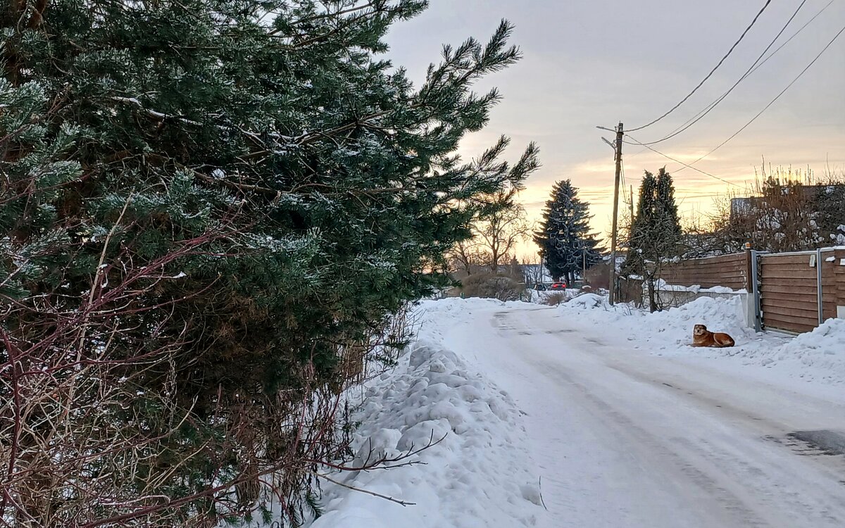 На закате - Наталья Герасимова На закате - Наталья Герасимова