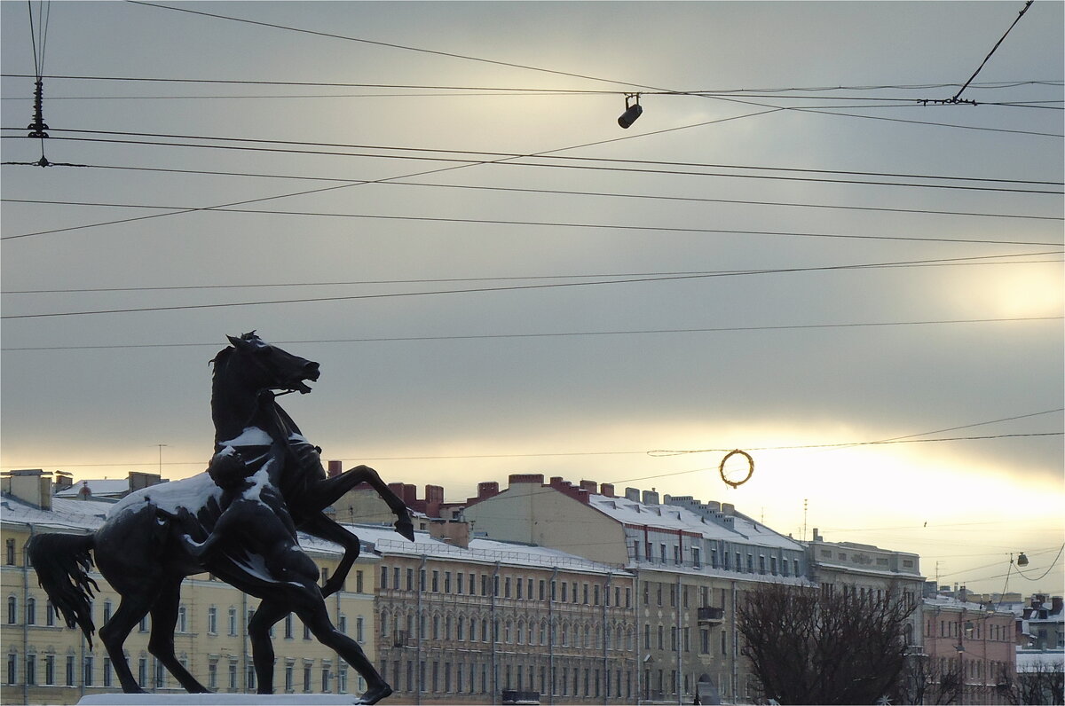 Укрощение коня человеком - sv.kaschuk 