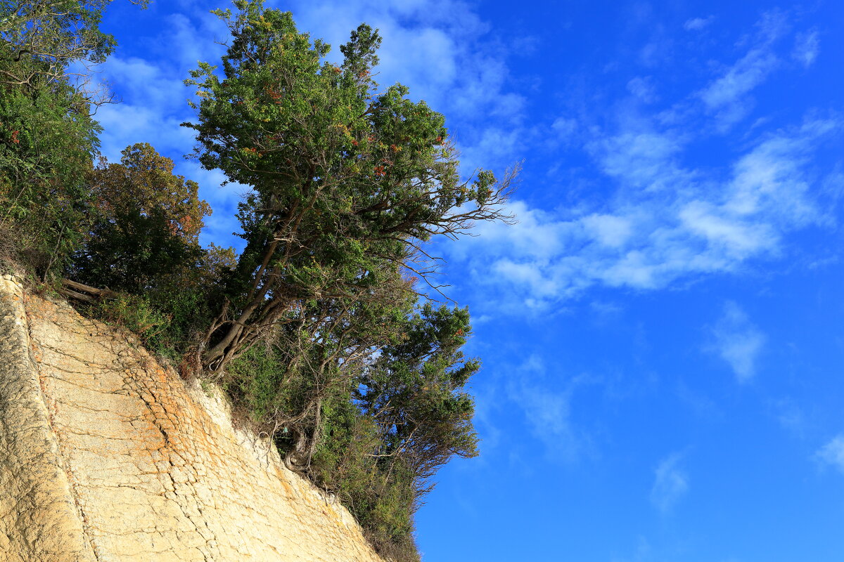 Жажда жизни - Леонид 
