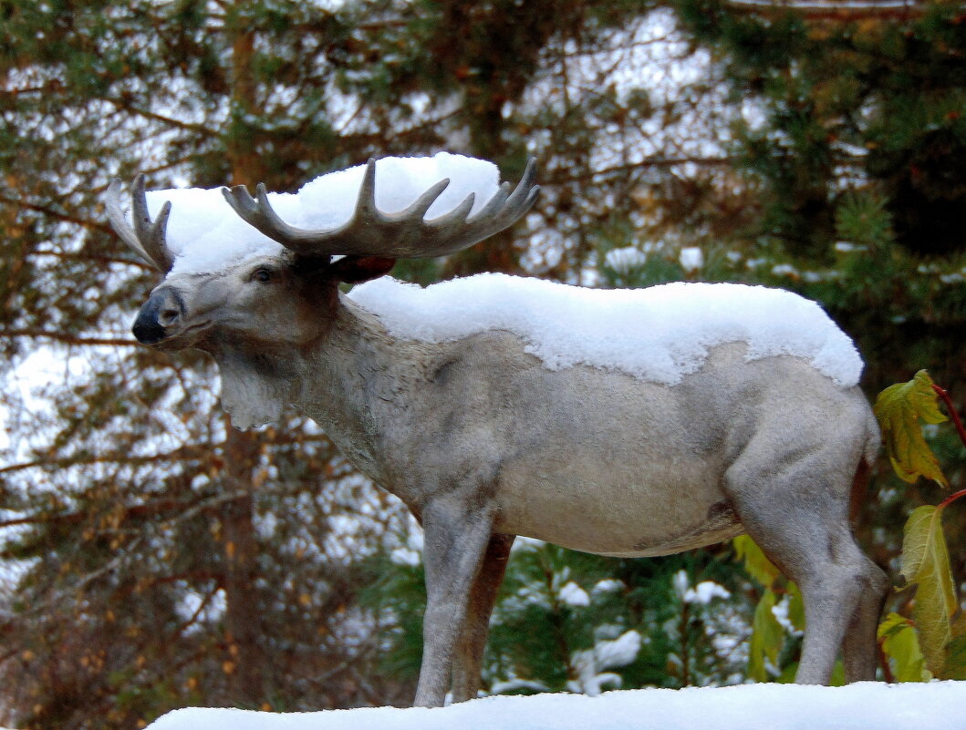 Скульптура одному из обитателей тайги. - nadyasilyuk Вознюк