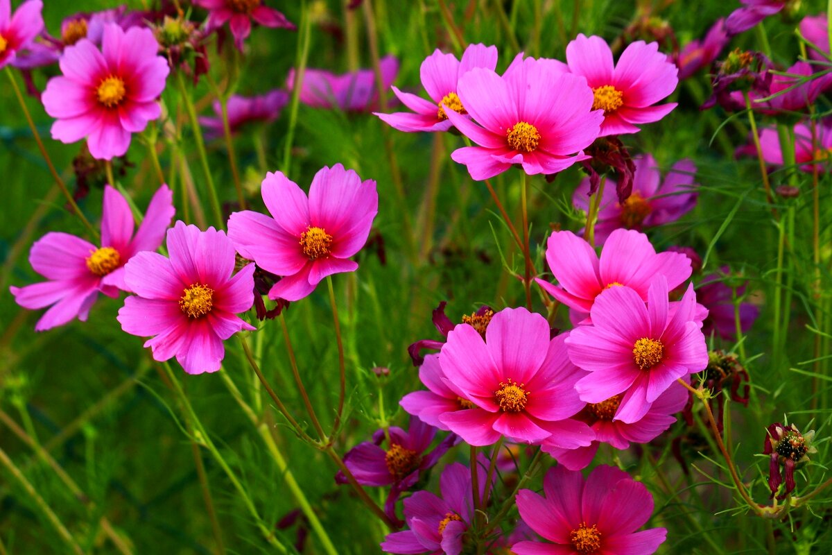 Доброе утро - Юрий. Шмаков Доброе утро - Юрий. Шмаков