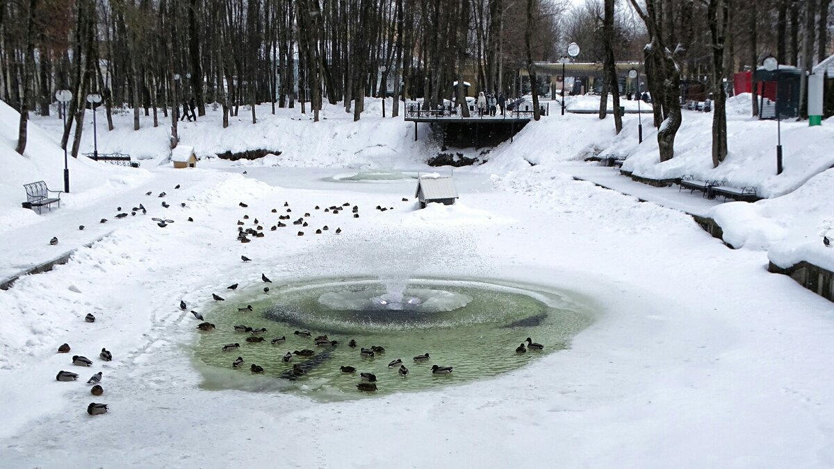 Городской сад в феврале. - Милешкин Владимир Алексеевич Городской сад в феврале. - Милешкин Владимир Алексеевич