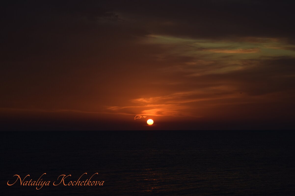 Природа Крыма - Amazing Cosmea Природа Крыма - Amazing Cosmea