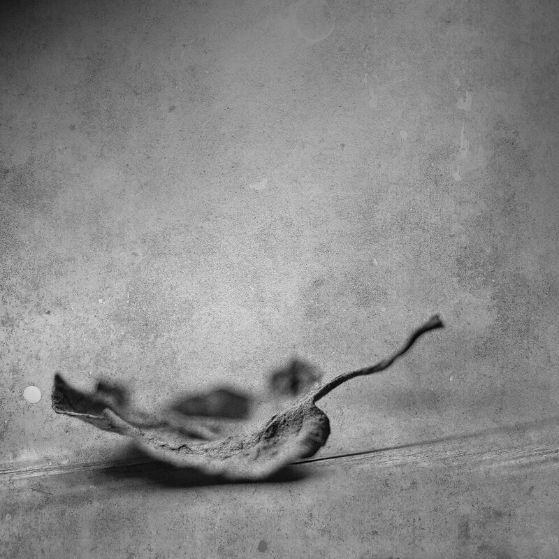 Сморщенный. - Svyatoslav [Artisan] Ph.