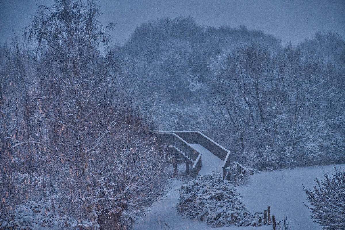 Снегопад 16.02.2026. - Jakob Dick