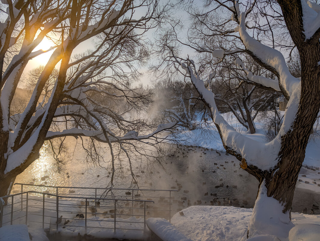 Прогулка в зимний день - Анастасия Логинова