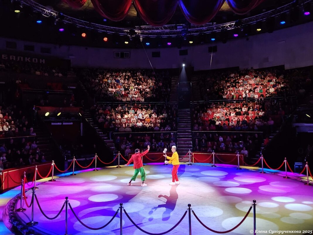 Цирковое представление - Елена Сухорученкова Цирковое представление - Елена Сухорученкова
