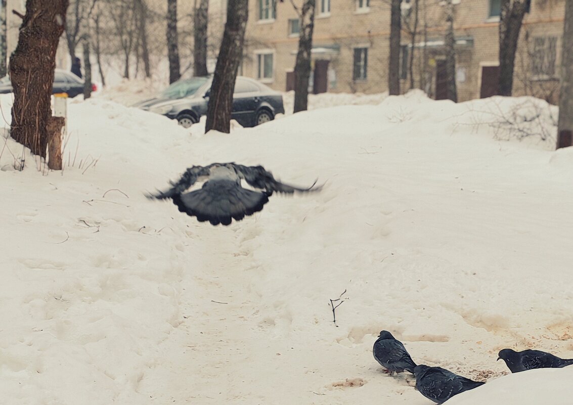 взлёт - Любовь 