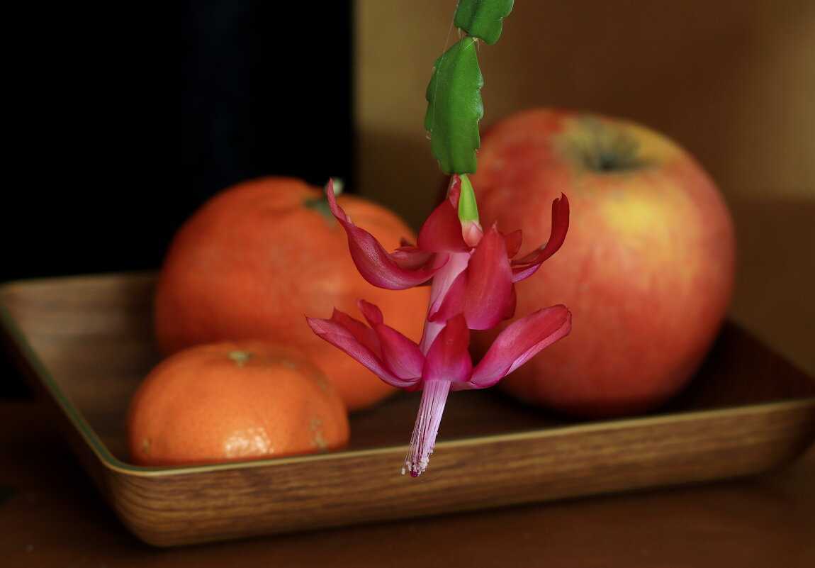 *** - Игорь Kуленко