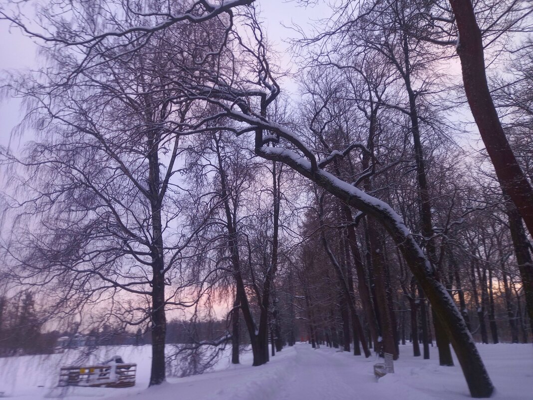 Рассвет - Сапсан 