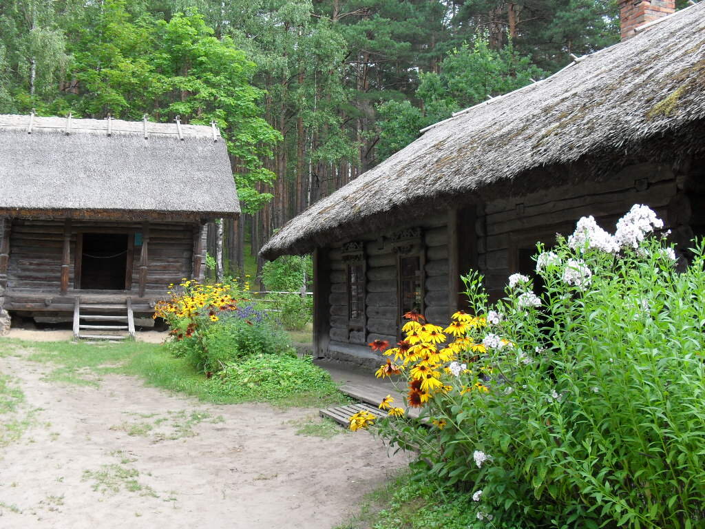 Под Ригой - Елена Суханова Под Ригой - Елена Суханова