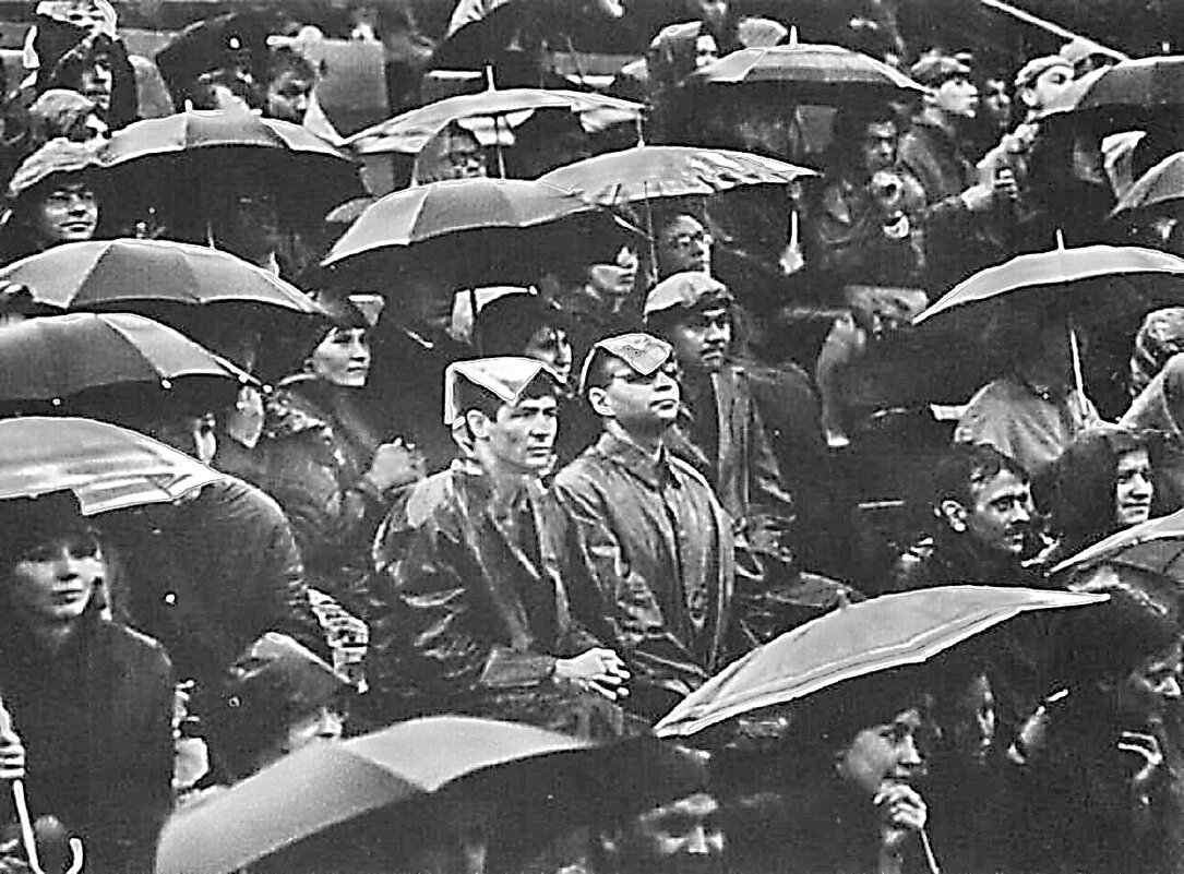 Хорошо сидим -9 - irina Schwarzer 