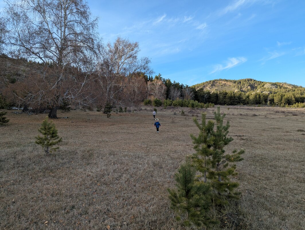 Шагает по планете Земля. - Андрей Хлопонин Шагает по планете Земля. - Андрей Хлопонин