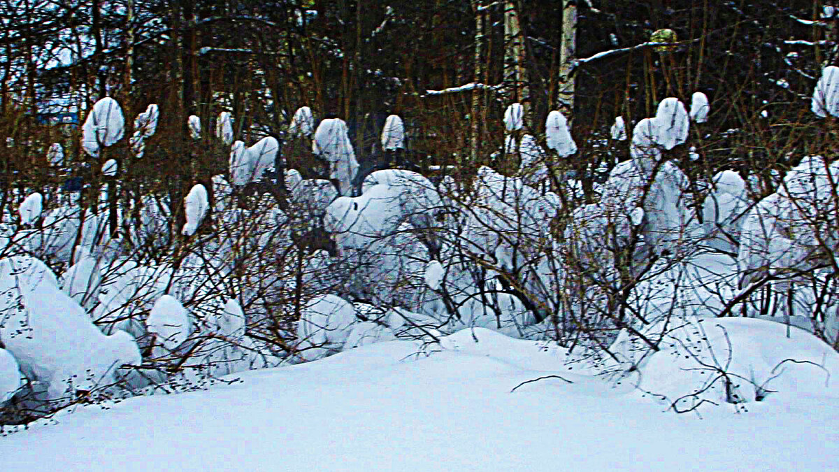 Февраль..В царстве зимы! - Владимир 